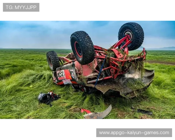 赛车赛段风大险被吹飞：风中勇士的极速挑战