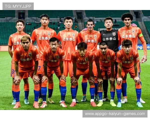 职业篮球转会市场中角色球员的战术价值评估体系（298 ）
